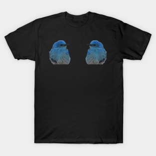 Twin Bluebirds T-Shirt